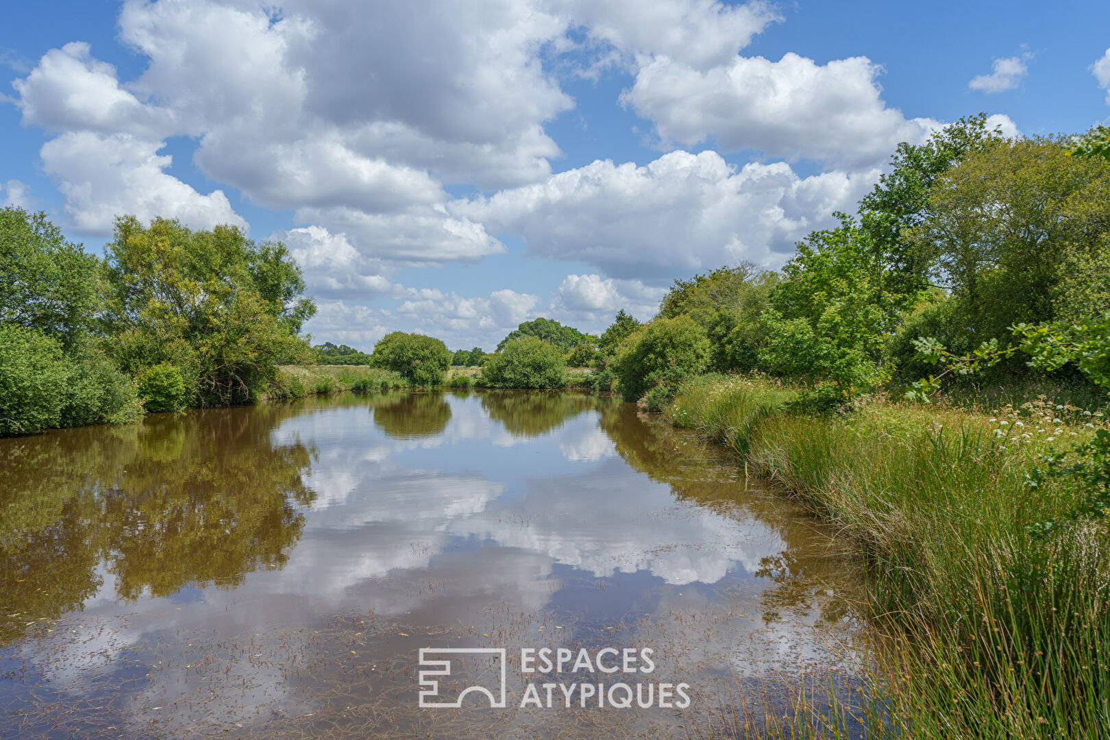 Renovated farmhouse with swimming pool on 6 hectares