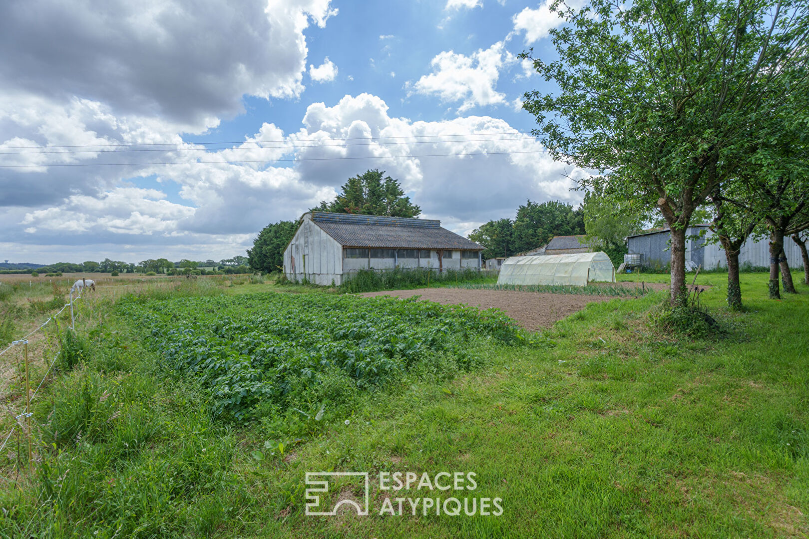 Renovated farmhouse with swimming pool on 6 hectares