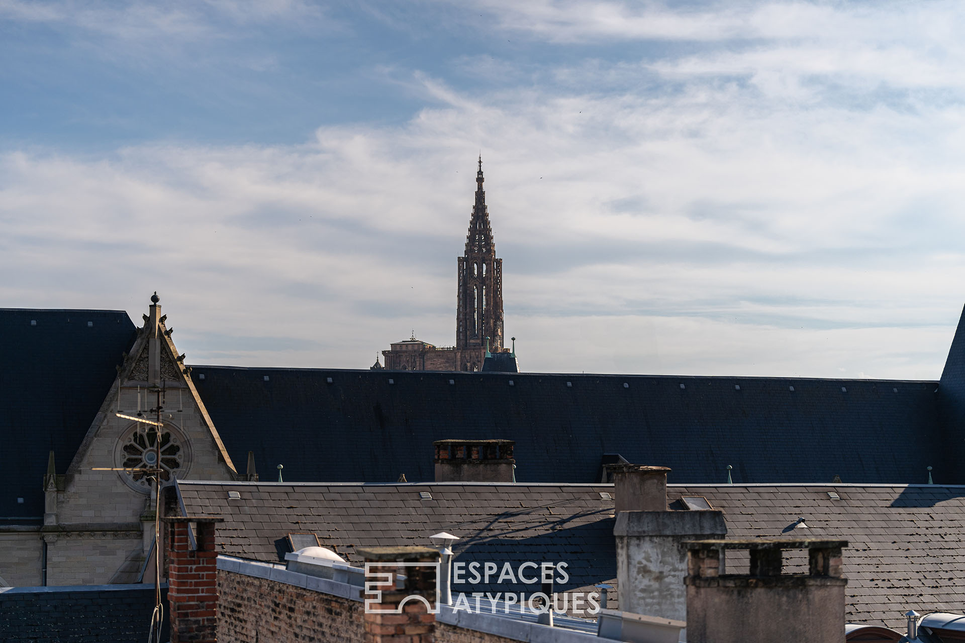 Duplex et sa terrasse sur les toits au coeur de la Neustadt