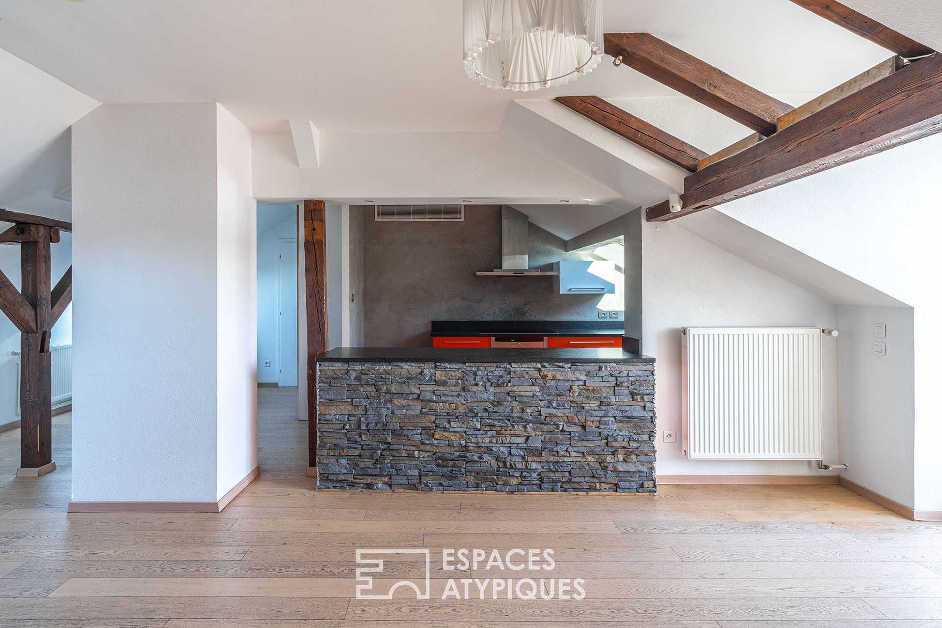 Duplex et sa terrasse sur les toits au coeur de la Neustadt