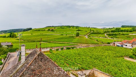 Maison vigneronne