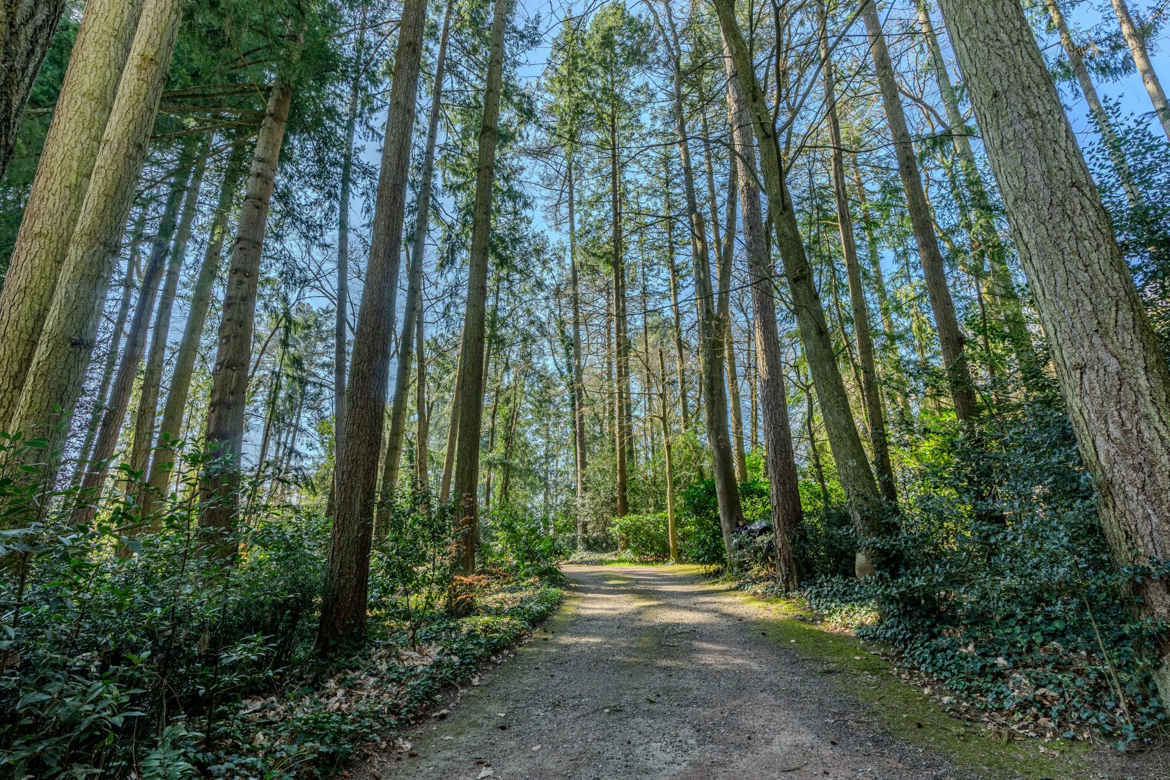 Propriété de charme vue exceptionnelle sur l’Erdre