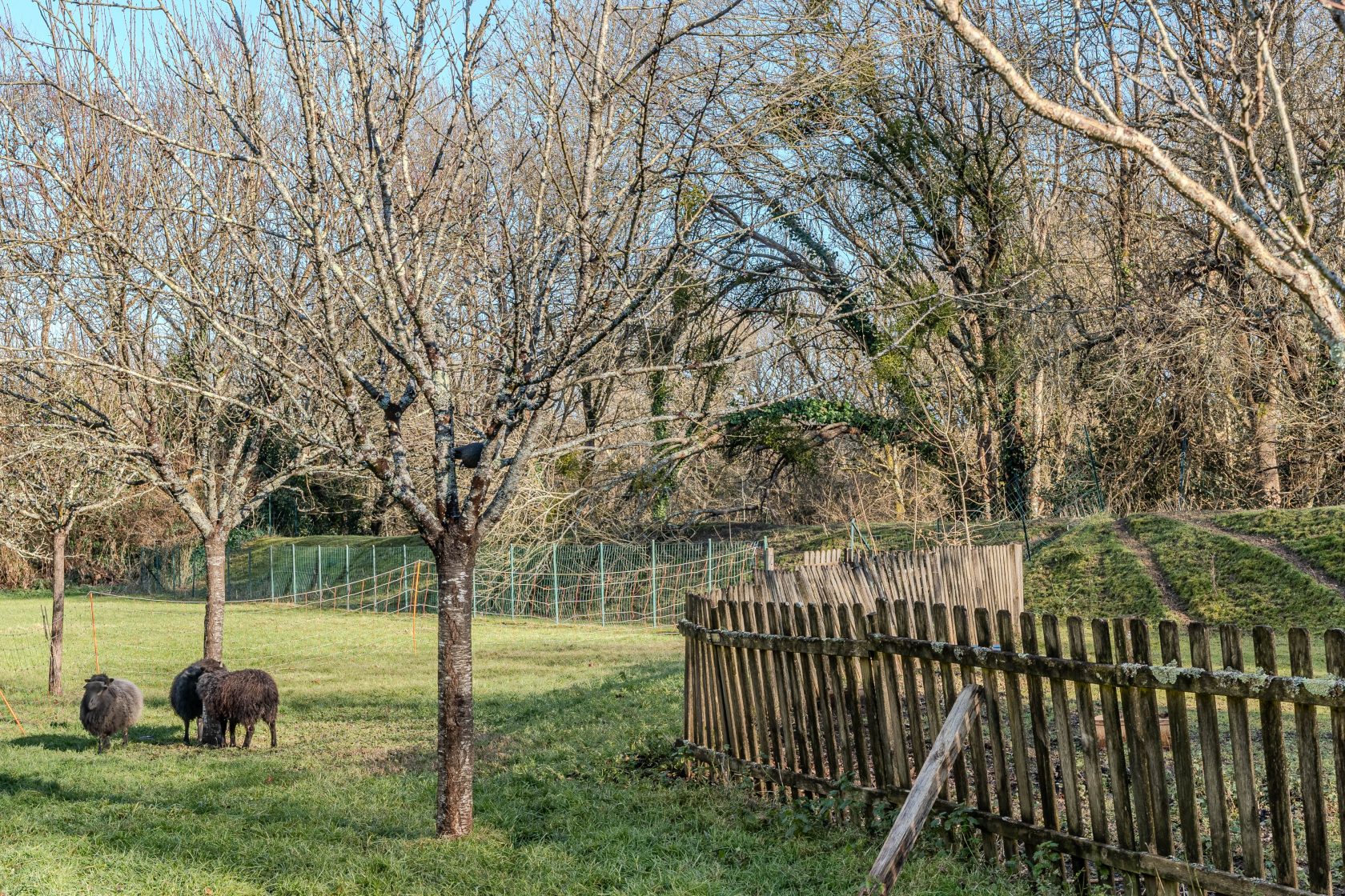 Maison de charme sur son jardin de vacances
