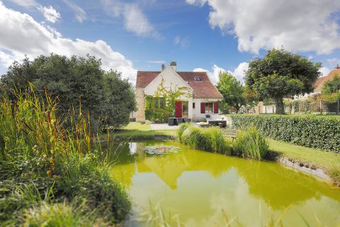 Charming renovated Briarde house and its garden
