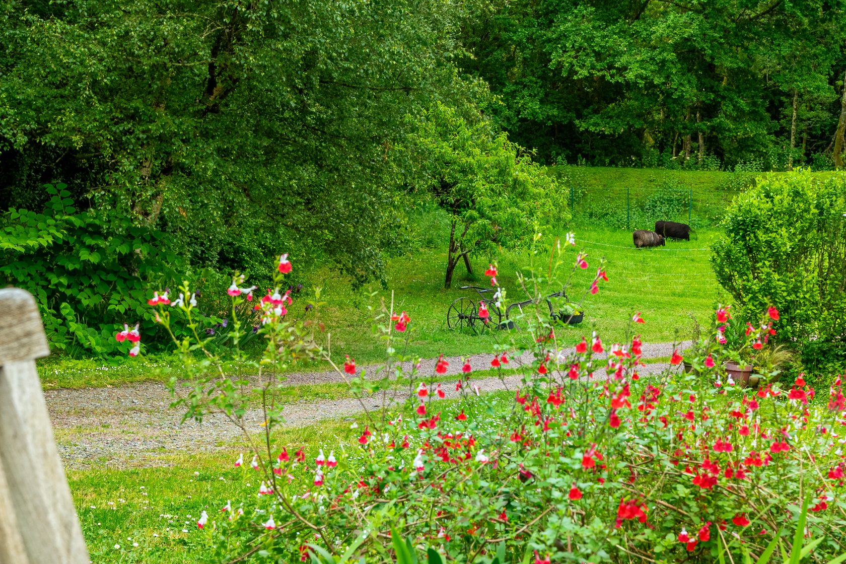 Maison de charme sur son jardin de vacances