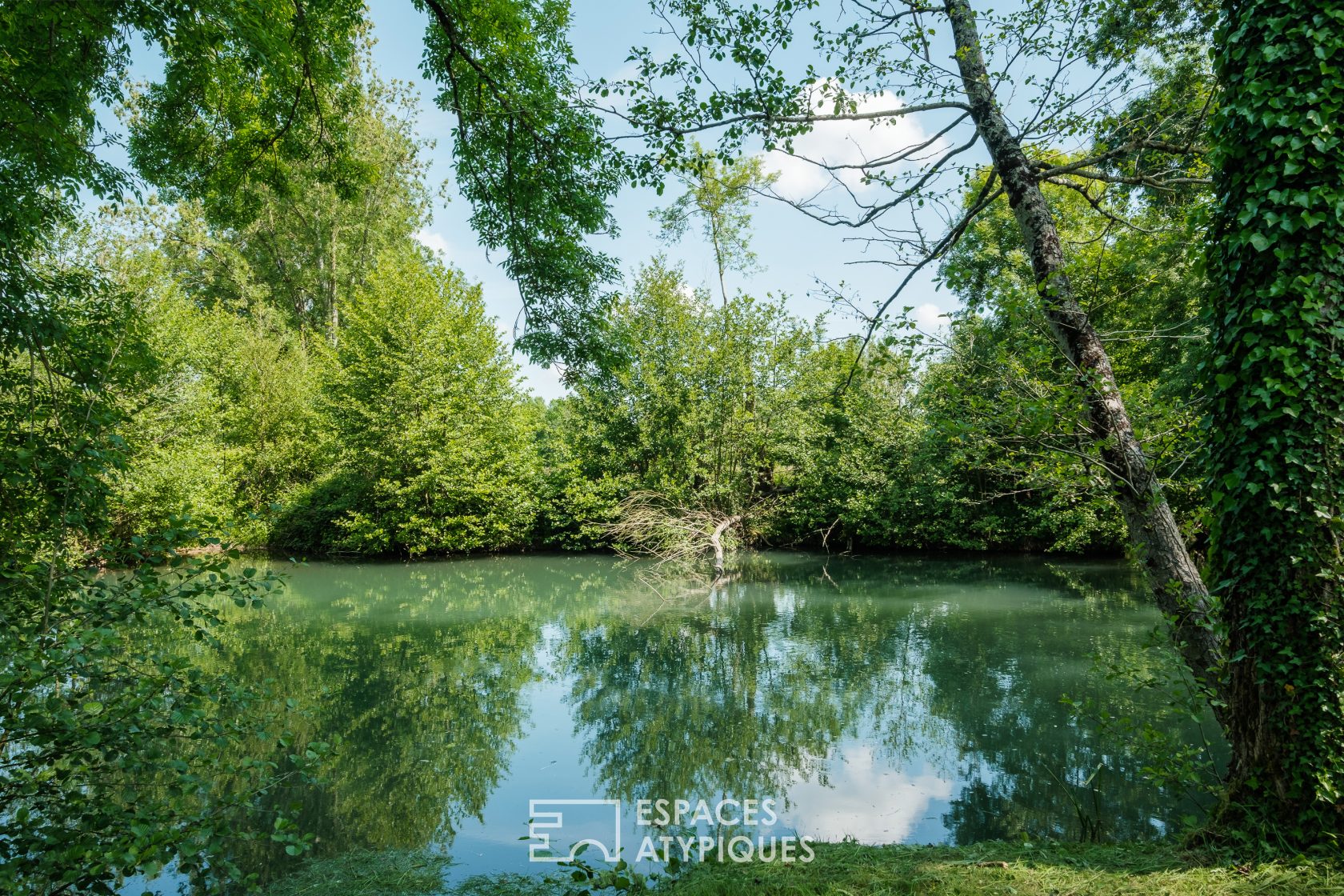 Renovated house and its park on the banks of the Sèvre