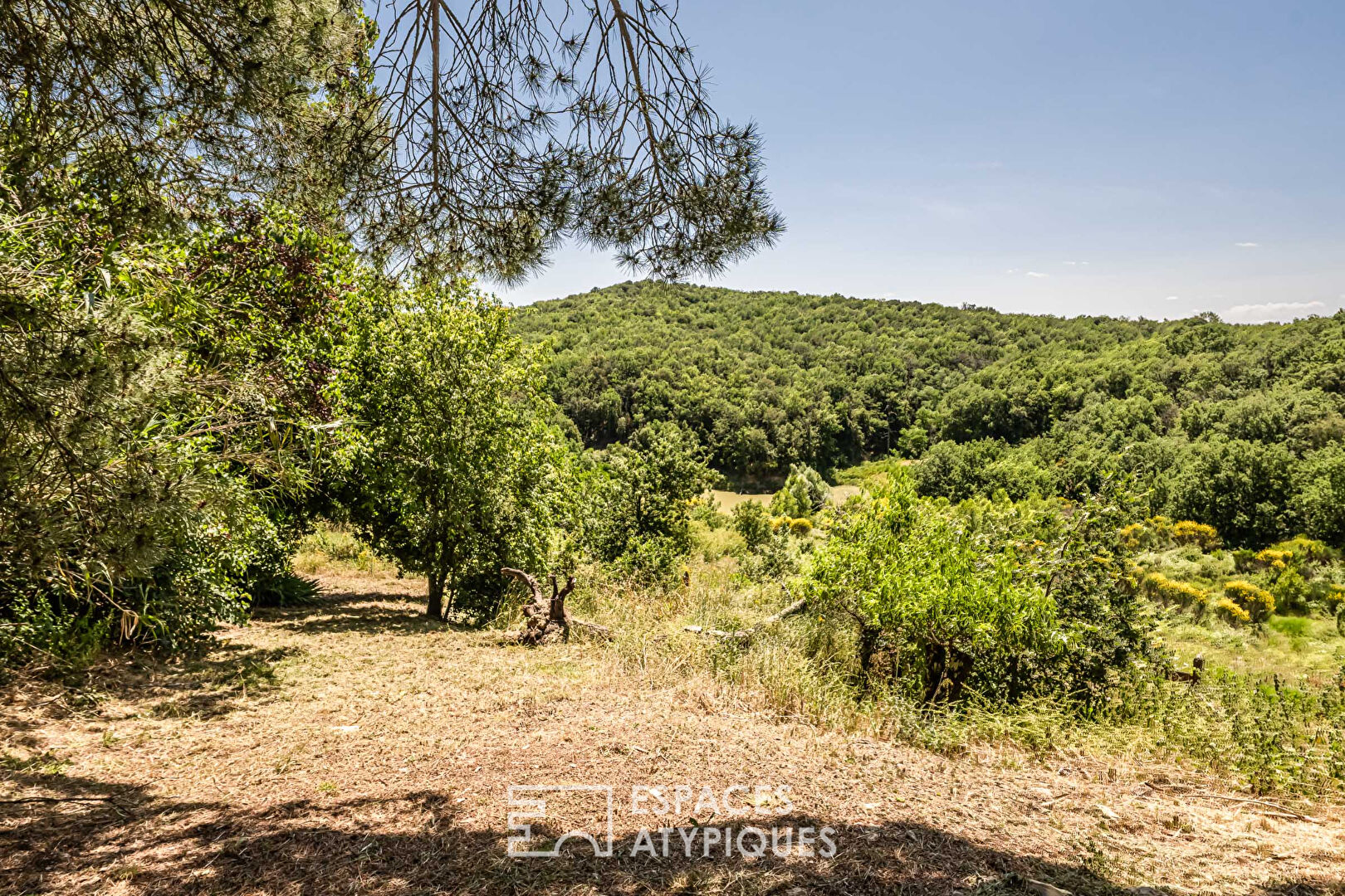 Propriété de Caractère sur 42 ha – Ferme du XIXe rénovée entre Carcassonne et Limoux