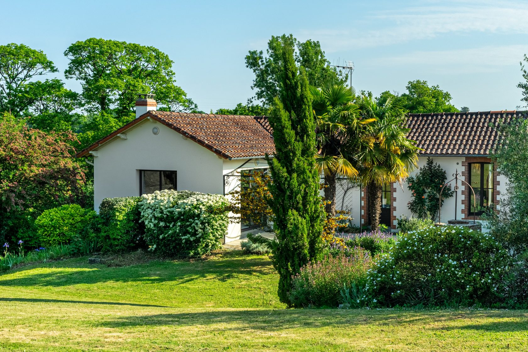 In Saint-Fiacre-sur-Maine, the discreet elegance of a life between vines and light.