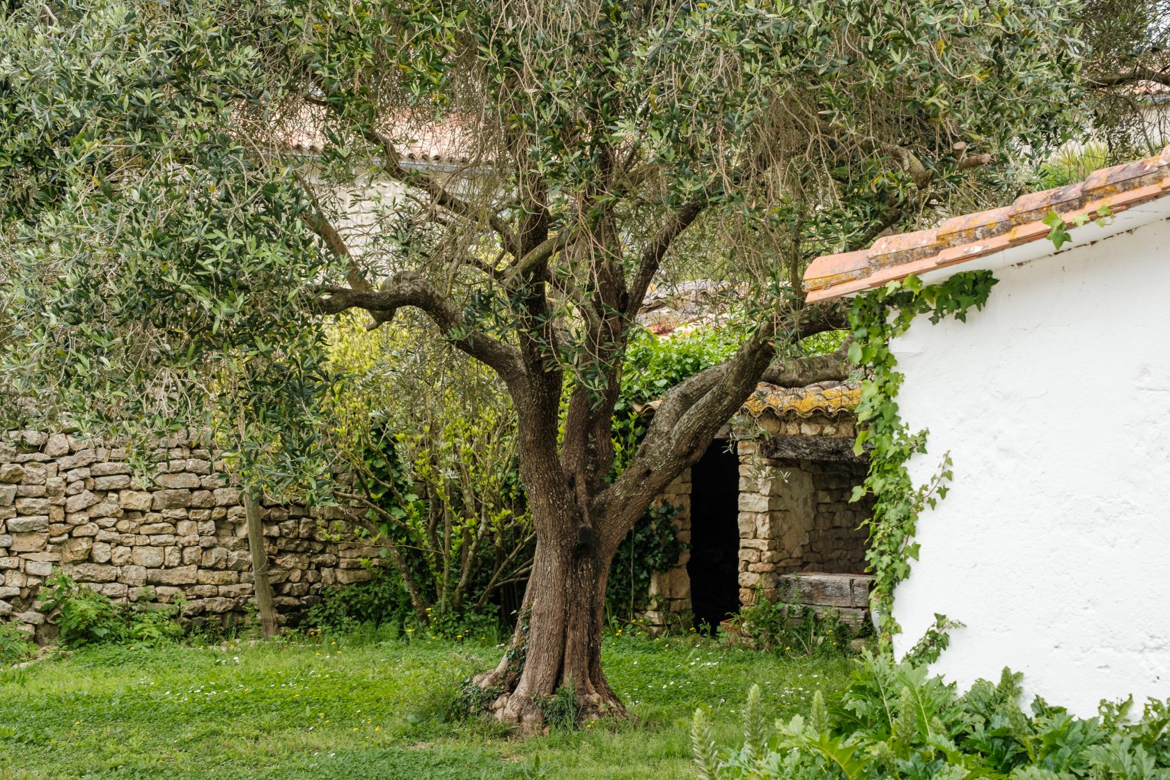 Vente Charme et potentiel pour cette ancienne ferme au coeur du village ...