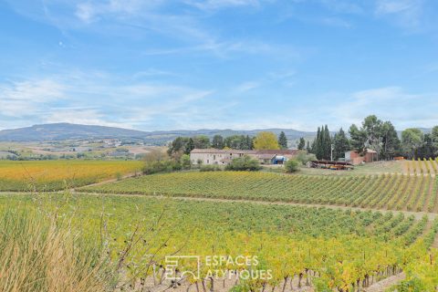 Domaine Viticole d’Exception –  Vues Panoramiques sur les Pyrénées