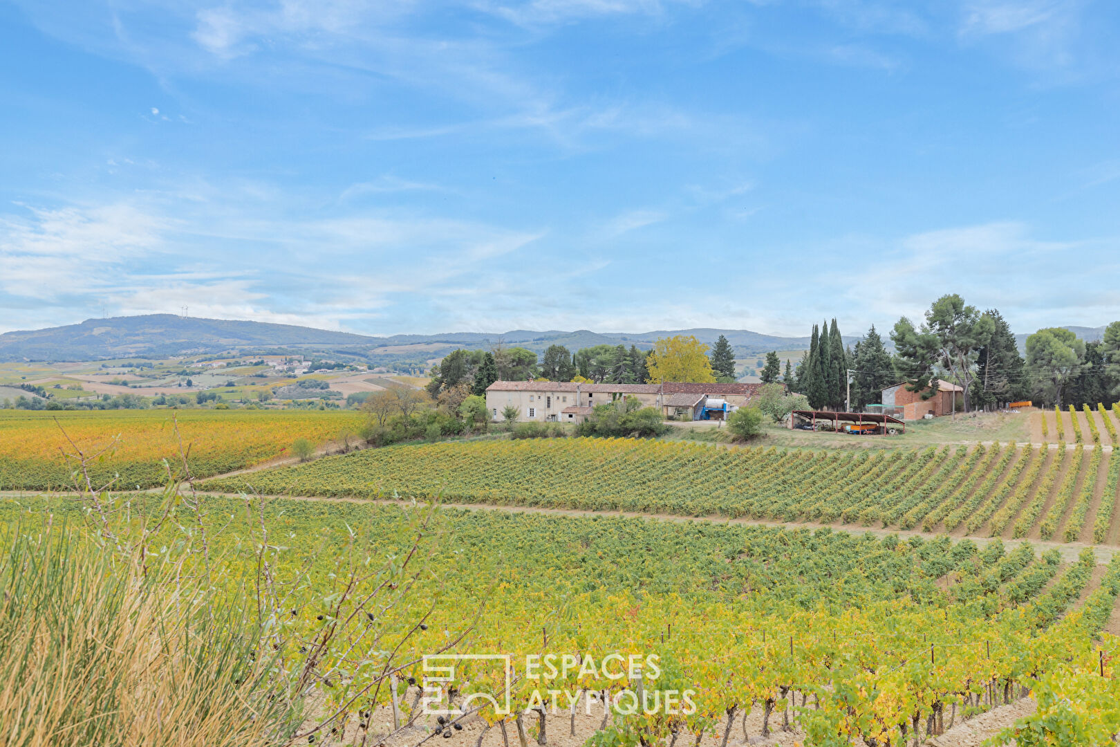 Domaine Viticole d’Exception –  Vues Panoramiques sur les Pyrénées
