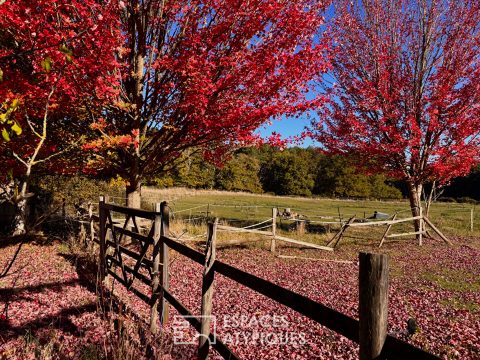 Maison de caractère sur intime domaine équestre arboré