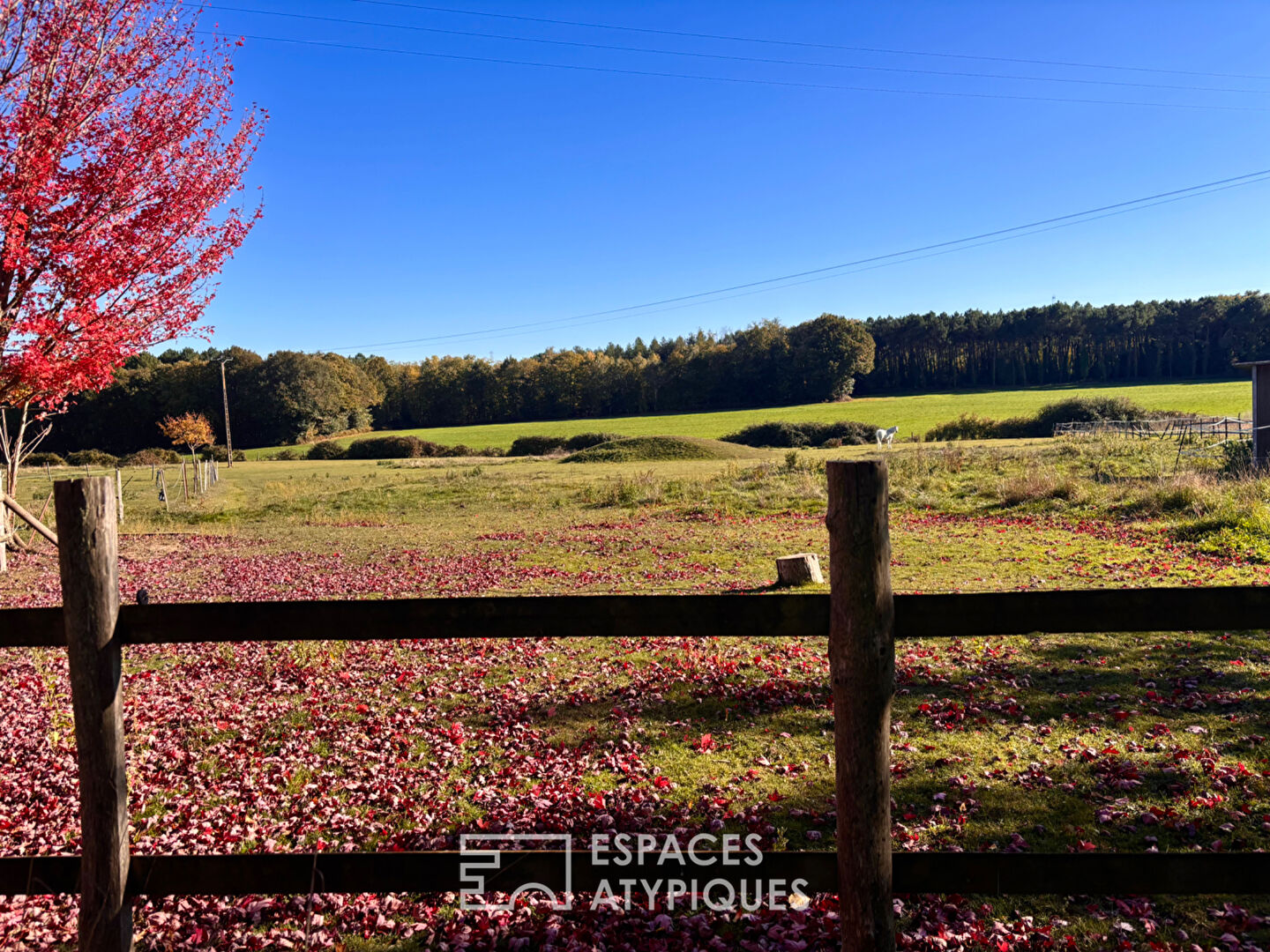 Maison de caractère sur intime domaine équestre arboré