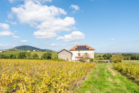 Charmante maison au coeur des vignobles du Beaujolais vert