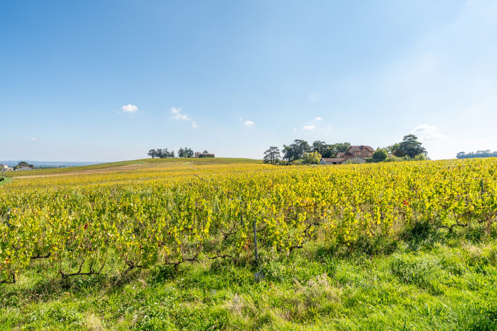 Charmante maison au coeur des vignobles du Beaujolais vert