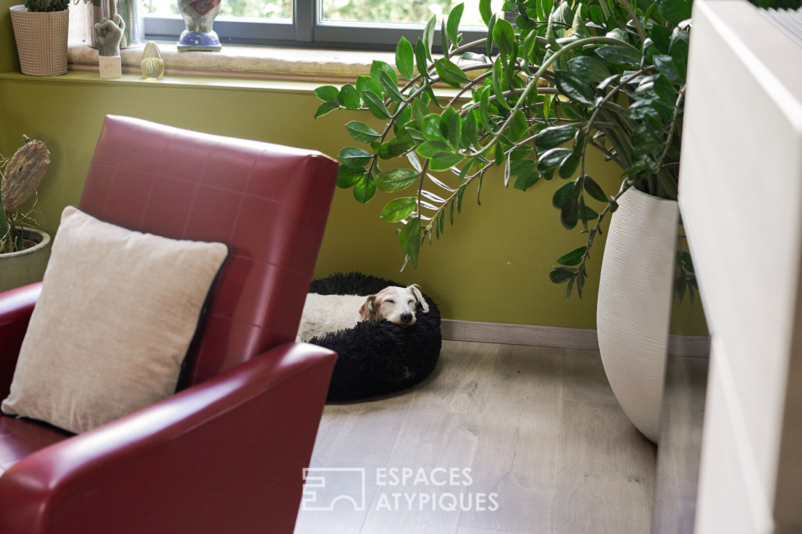 Maison en pierre au charme intemporel