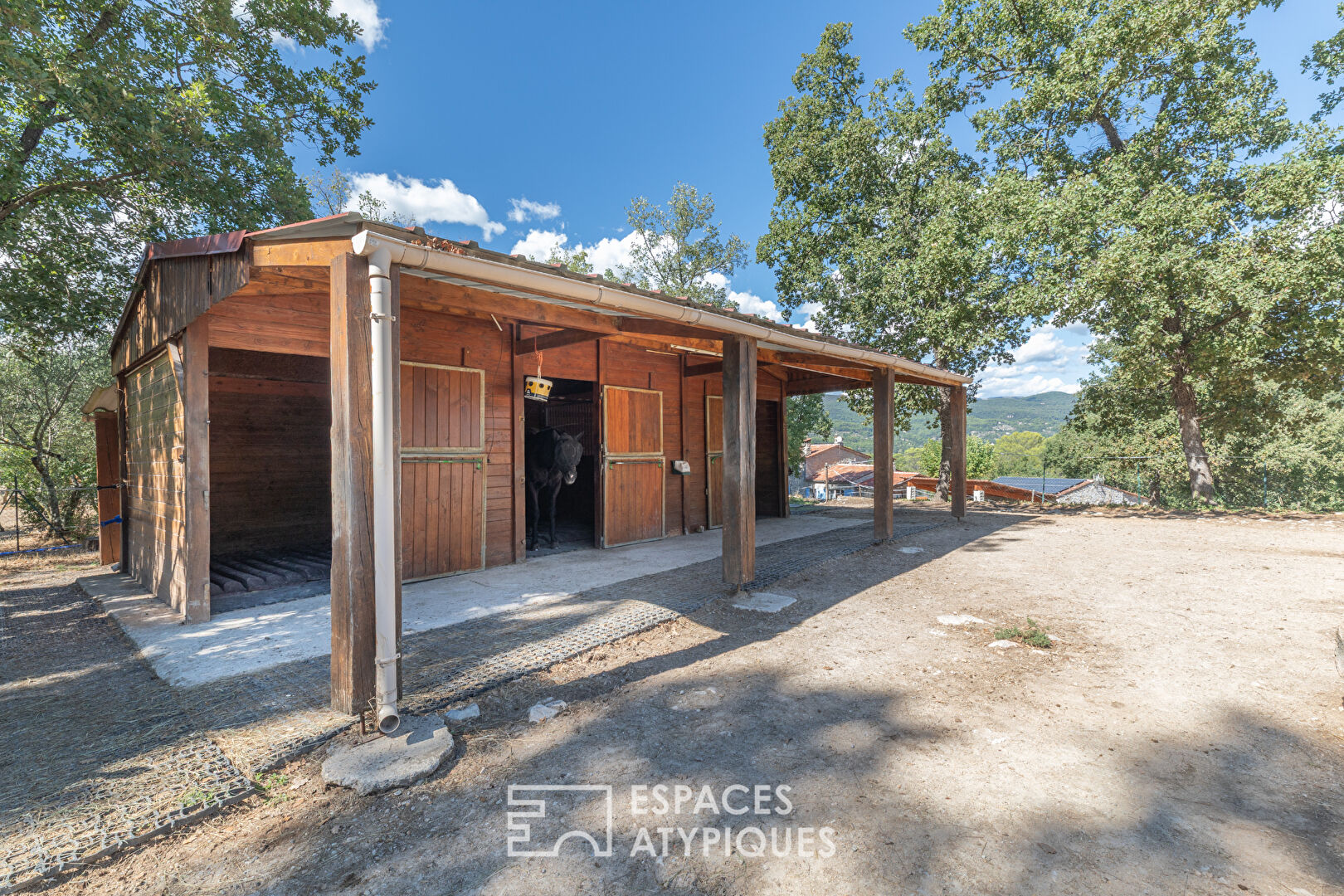 Élégance provençale et passion équestre aux portes de Fayence