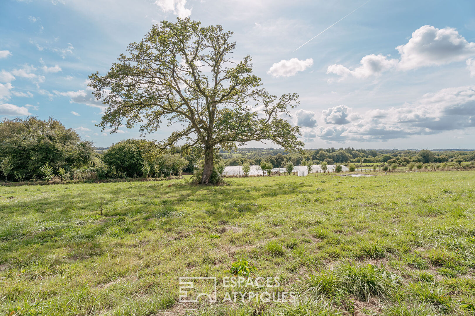 Unique property for families, holiday cottages or agricultural project