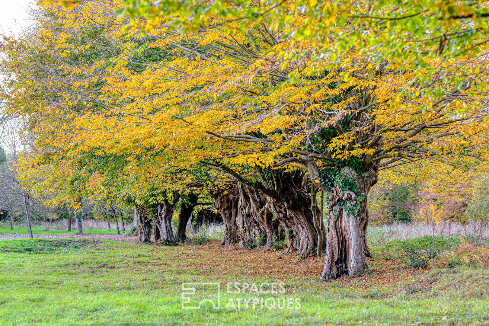 Renovated Norman house in a 2 hectare park