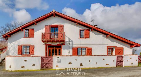 Authentic Basque house with commanding views of the hills