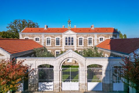 Large, prestigious residence with guest rooms, cottages and private accommodation