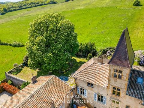 Maison en pierres dorées du XVIIème siècle dans un château avec vue Mont-Blanc