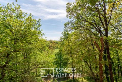 Maison d&rsquo;architecte avec vue connectée à la nature
