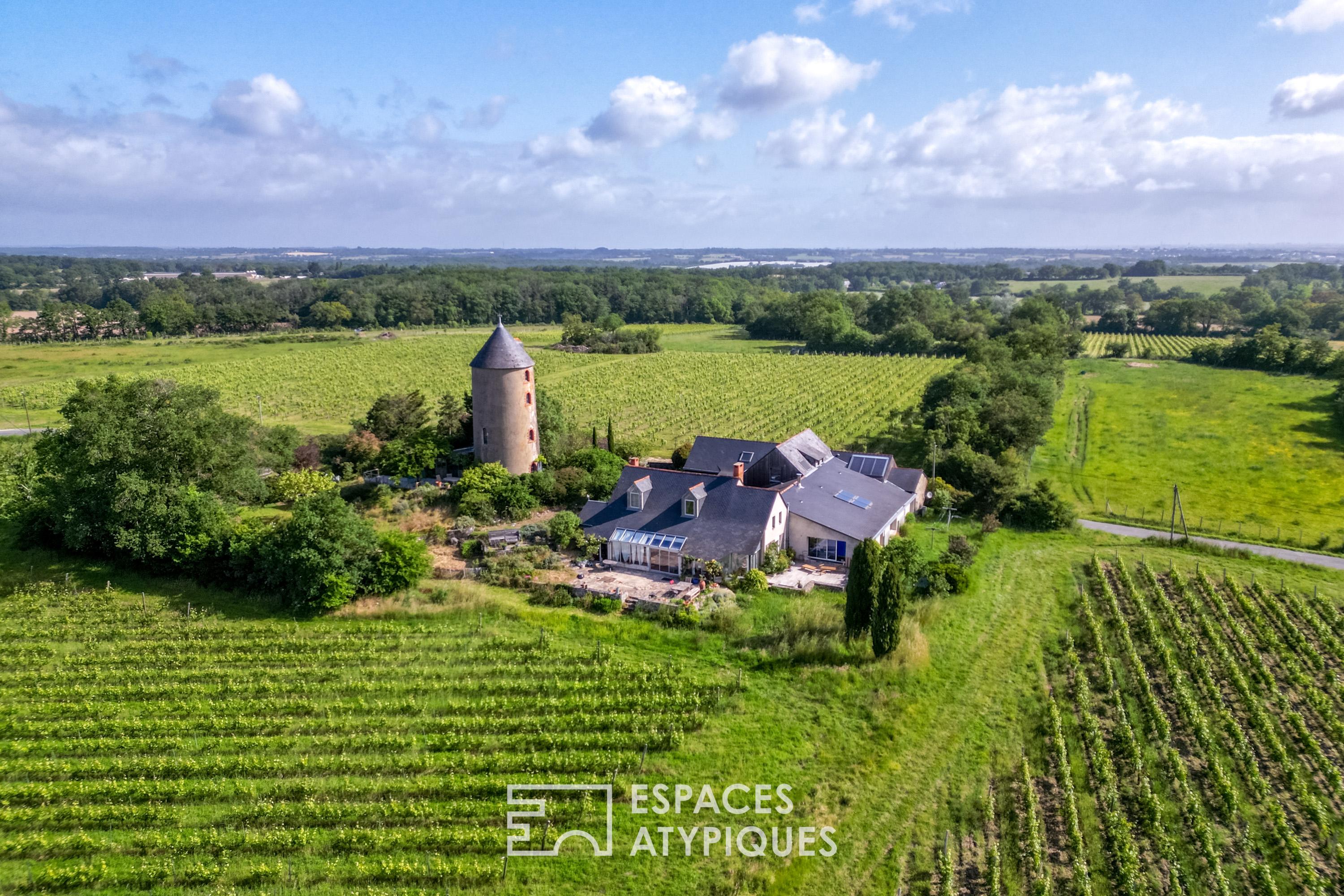 Exceptional property in the heart of the vineyards