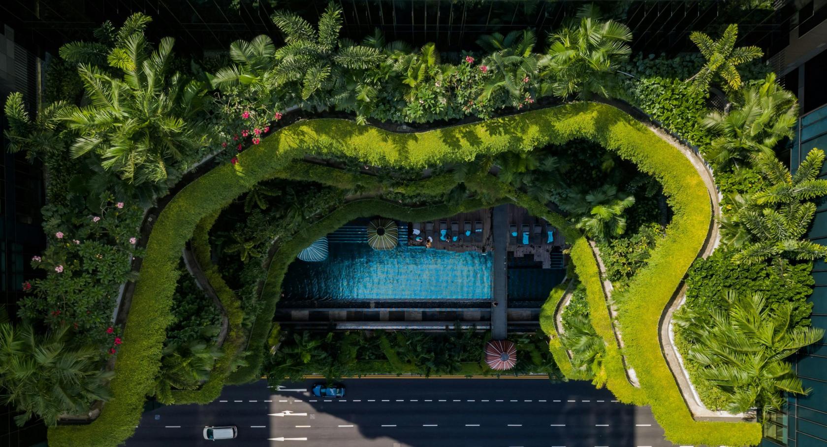 Biomimétisme et architecture : s&rsquo;inspirer du vivant pour habiter mieux demain