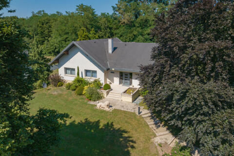 Maison d&rsquo;architecte seventies à fort potentiel et son vaste terrain boisé
