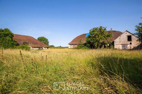 Two 18th century barns to renovate