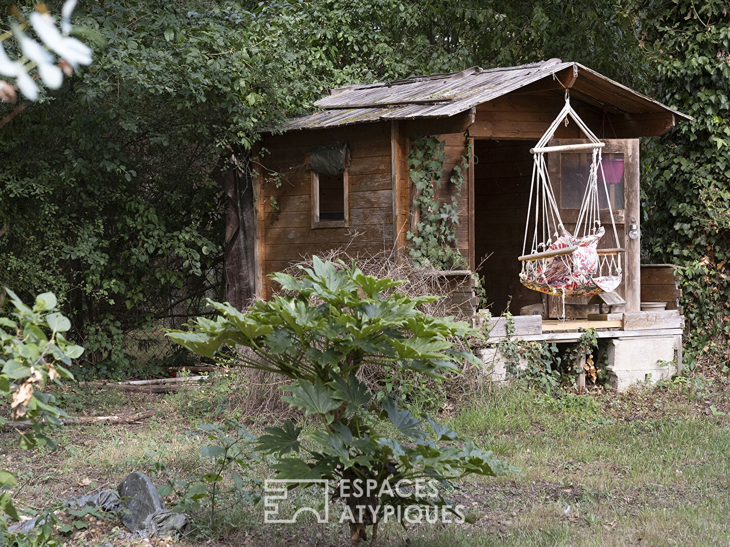 Wooden house open to nature