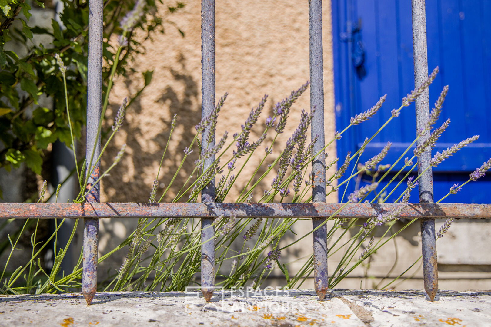Élégance d’antan et modernité à Beaugency