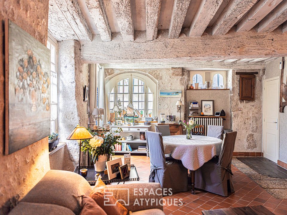 Maison emblématique et cocooning au coeur de Beaugency