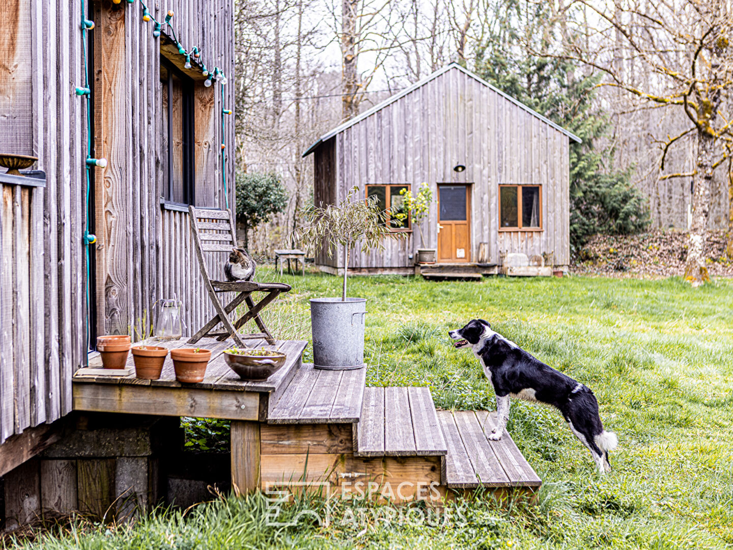 Maison à ossature bois, sa tiny house et son étang au milieu de la forêt