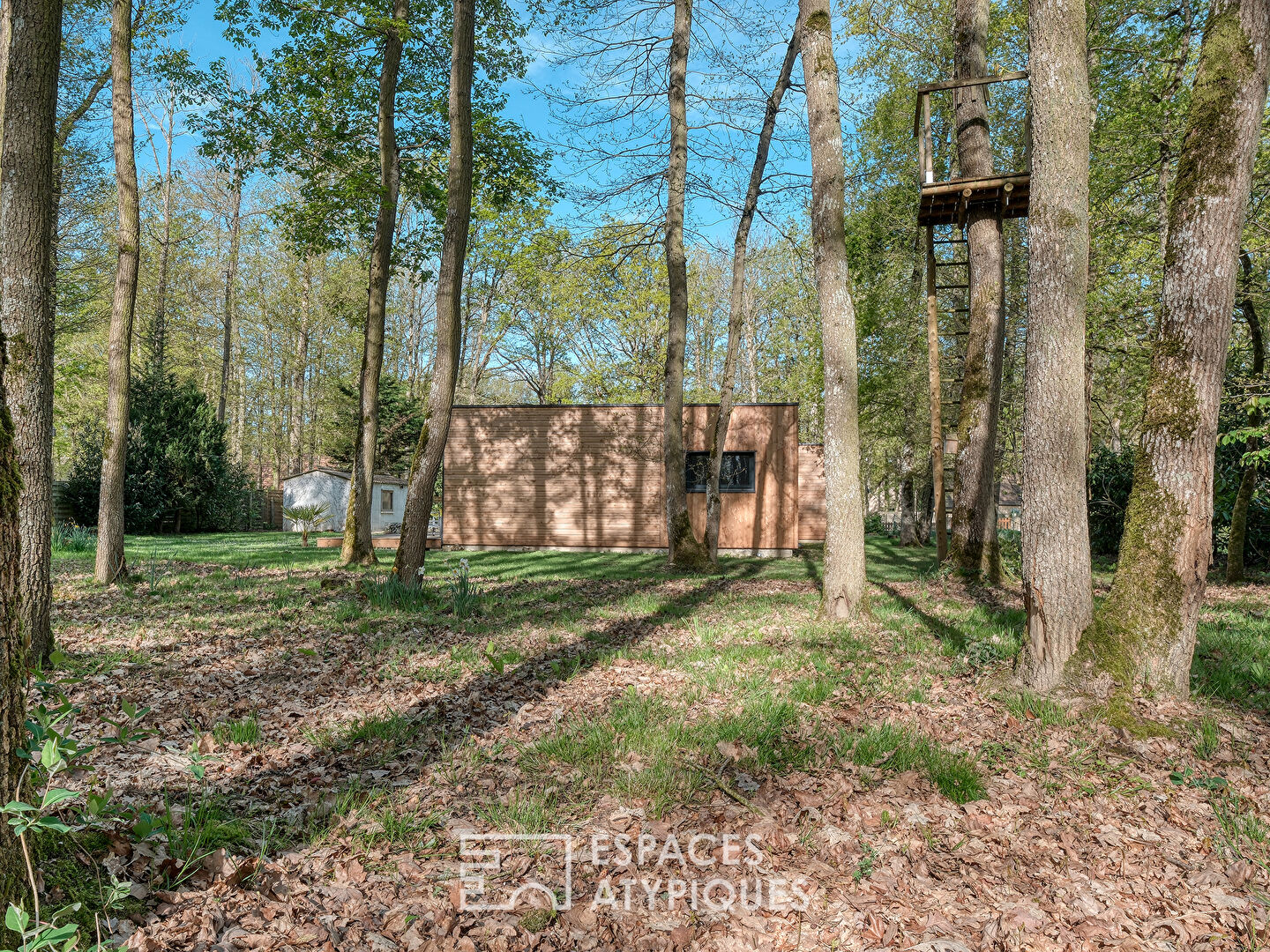 Maison d’architecte en bois au coeur de la forêt