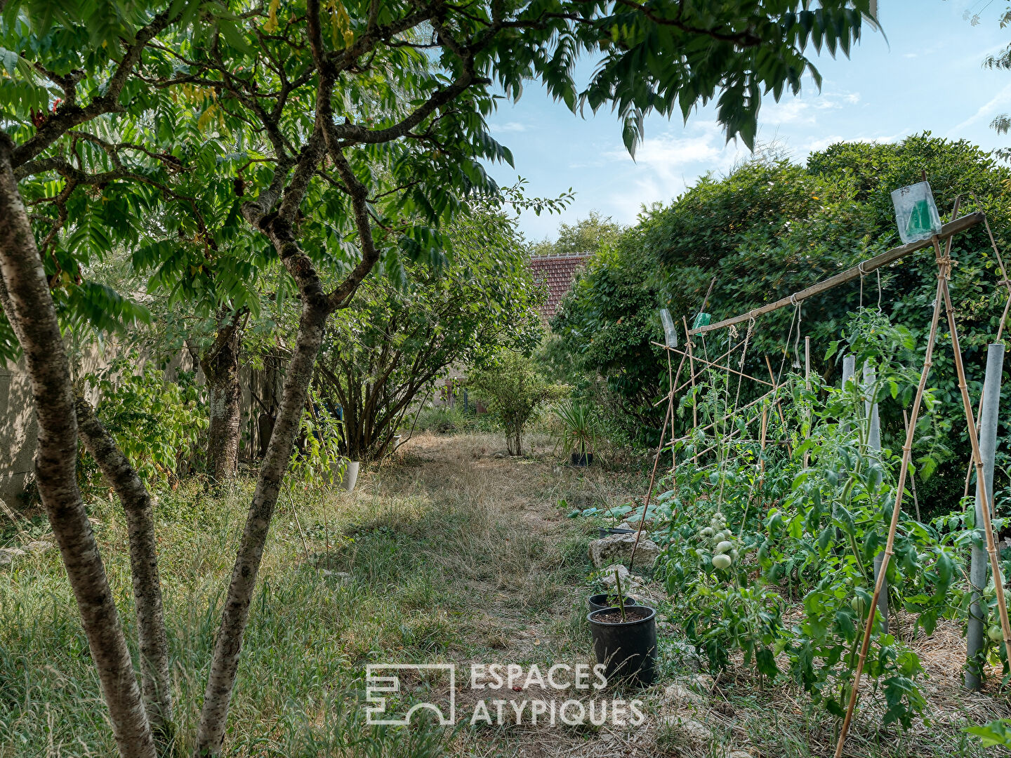 Maison cosy rénovée et son jardin bucolique