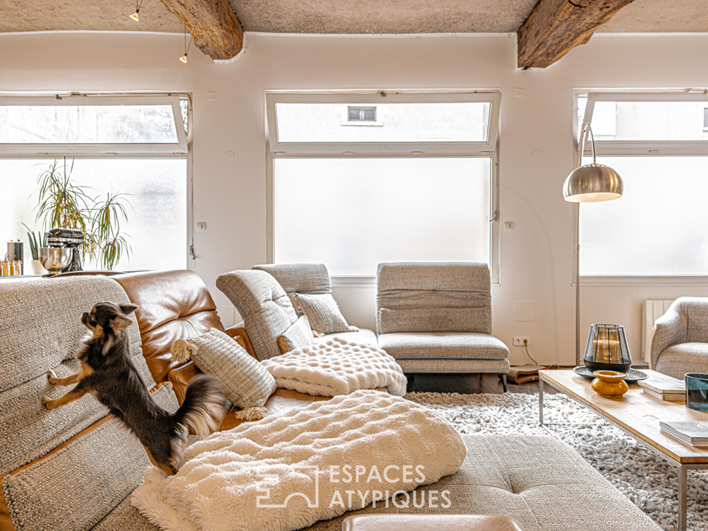 Loft avec piscine intérieure à deux pas des bords de Loire