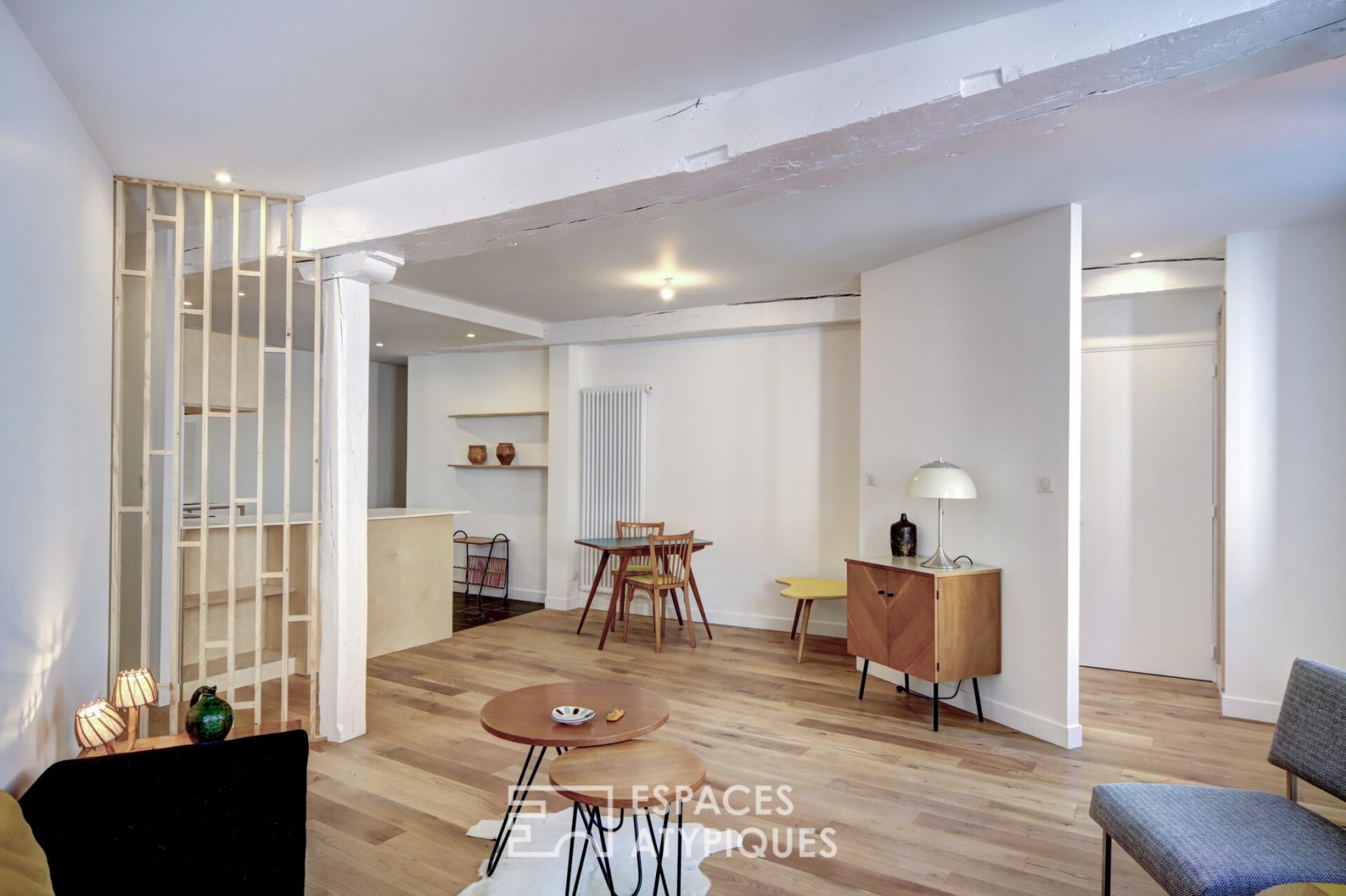 Appartement graphique en hypercentre