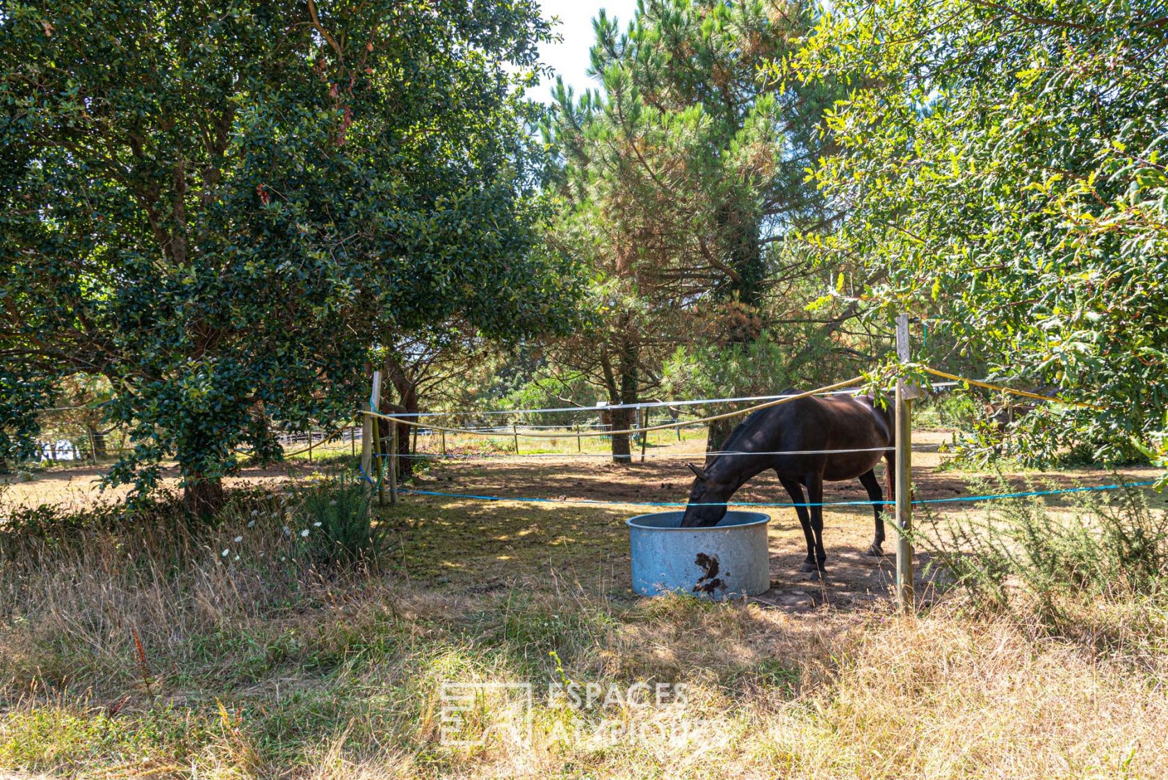 Propriété avec aperçu mer