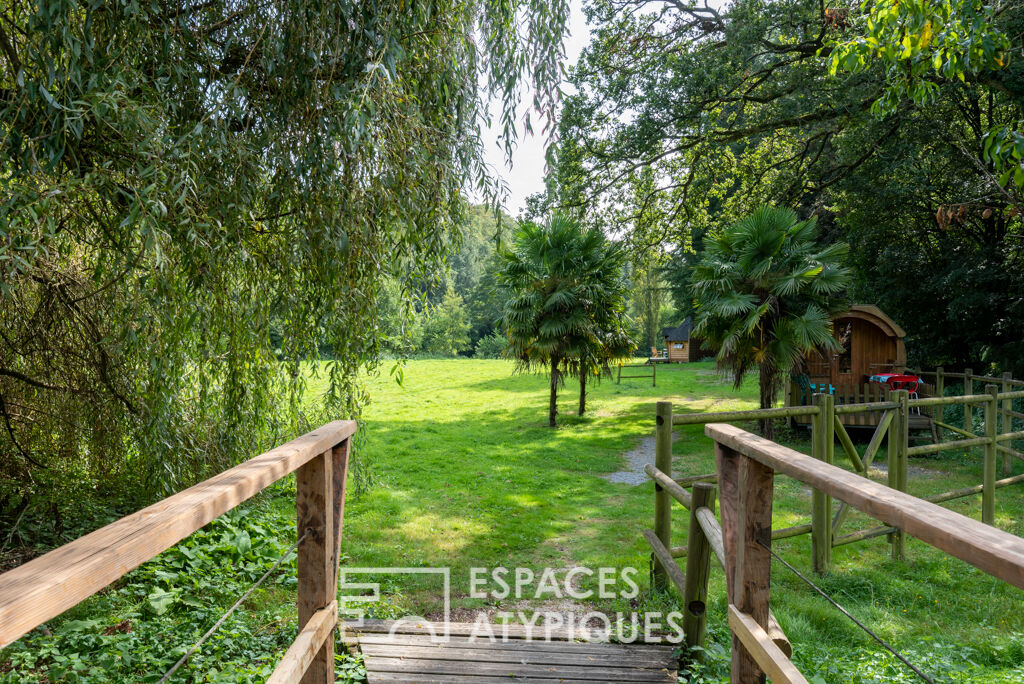 Ancien moulin les pieds dans l’eau
