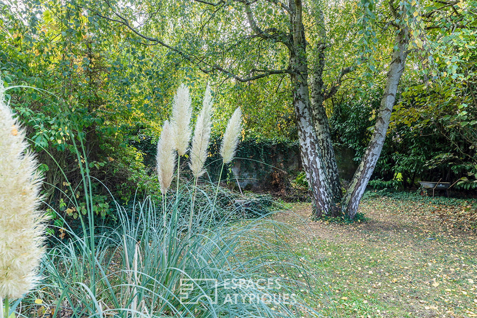 The squirrel property – Unique inspiring place