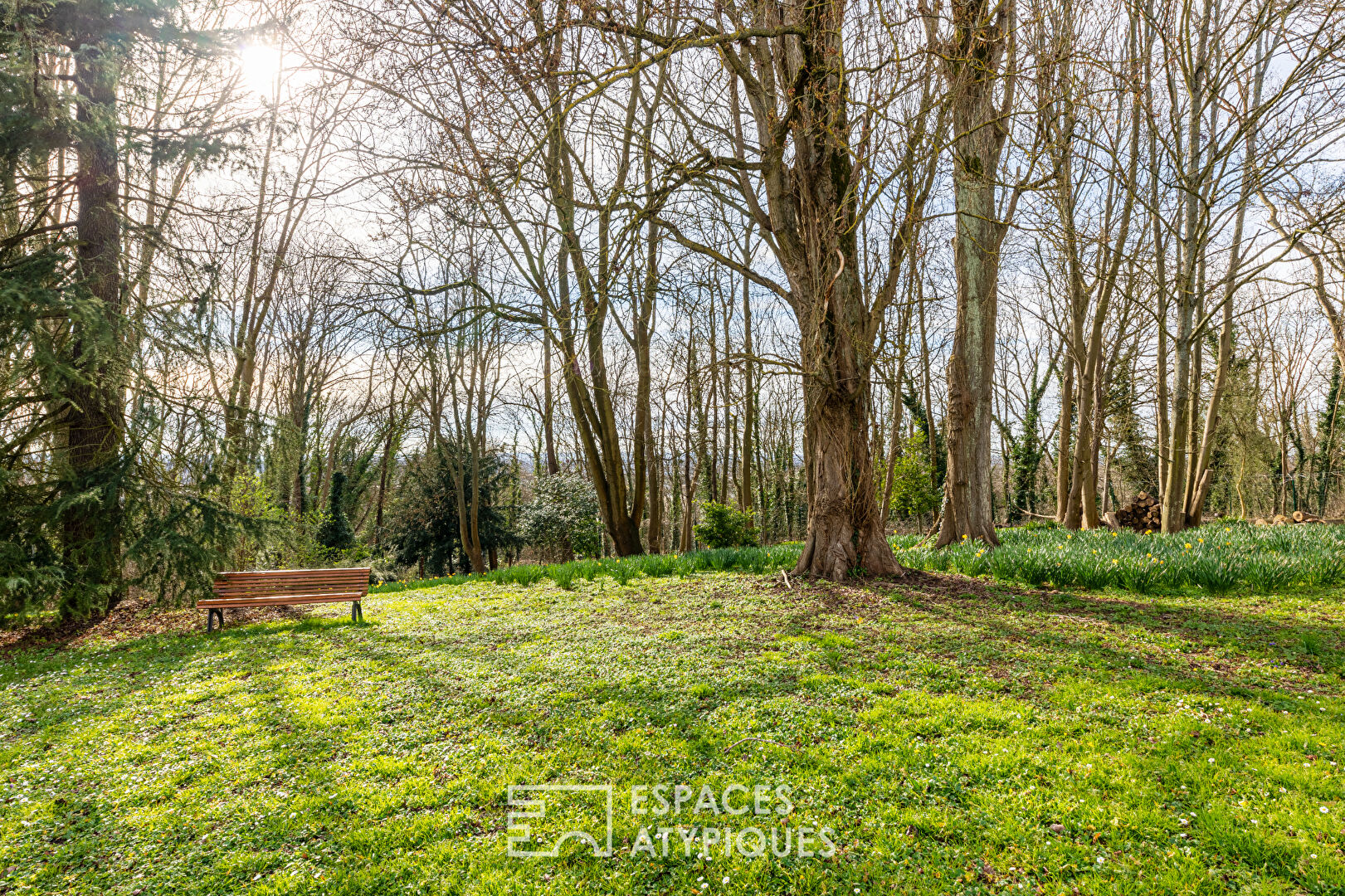 Bel appartement au dernier étage vue forêt