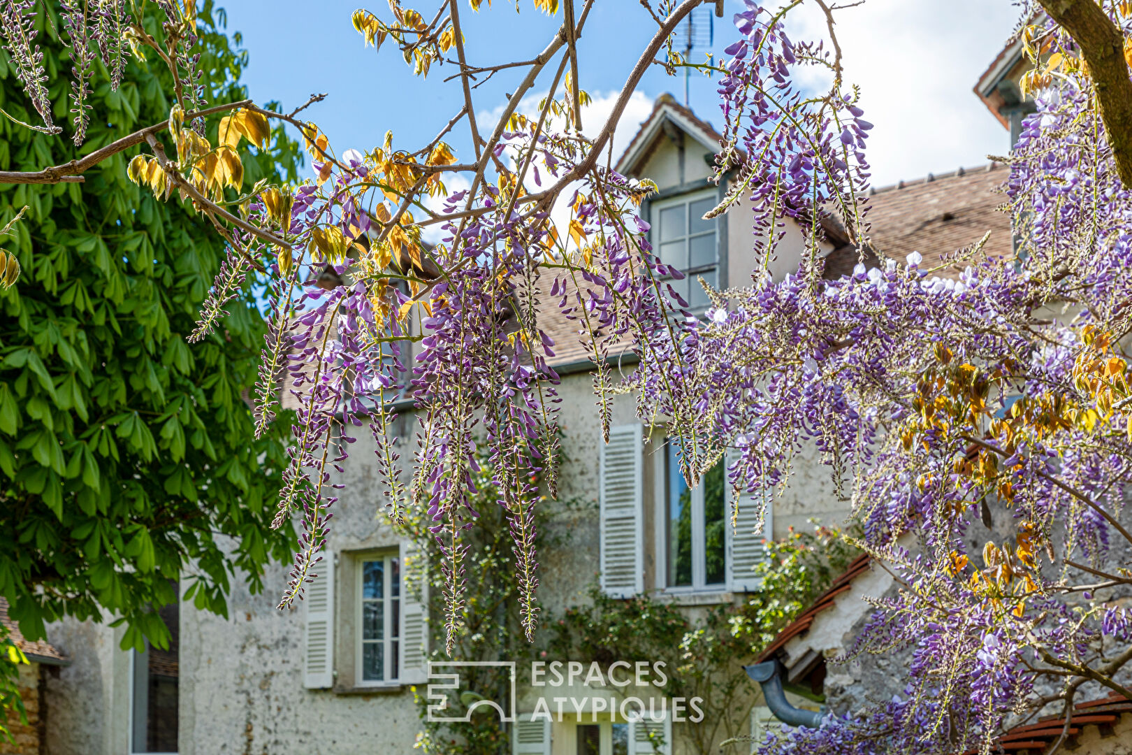 Large stone property, nestled behind its wisteria