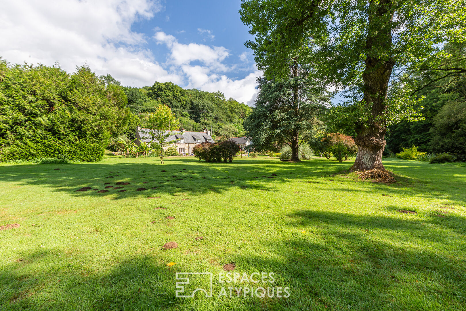 By the river in a bucolic setting