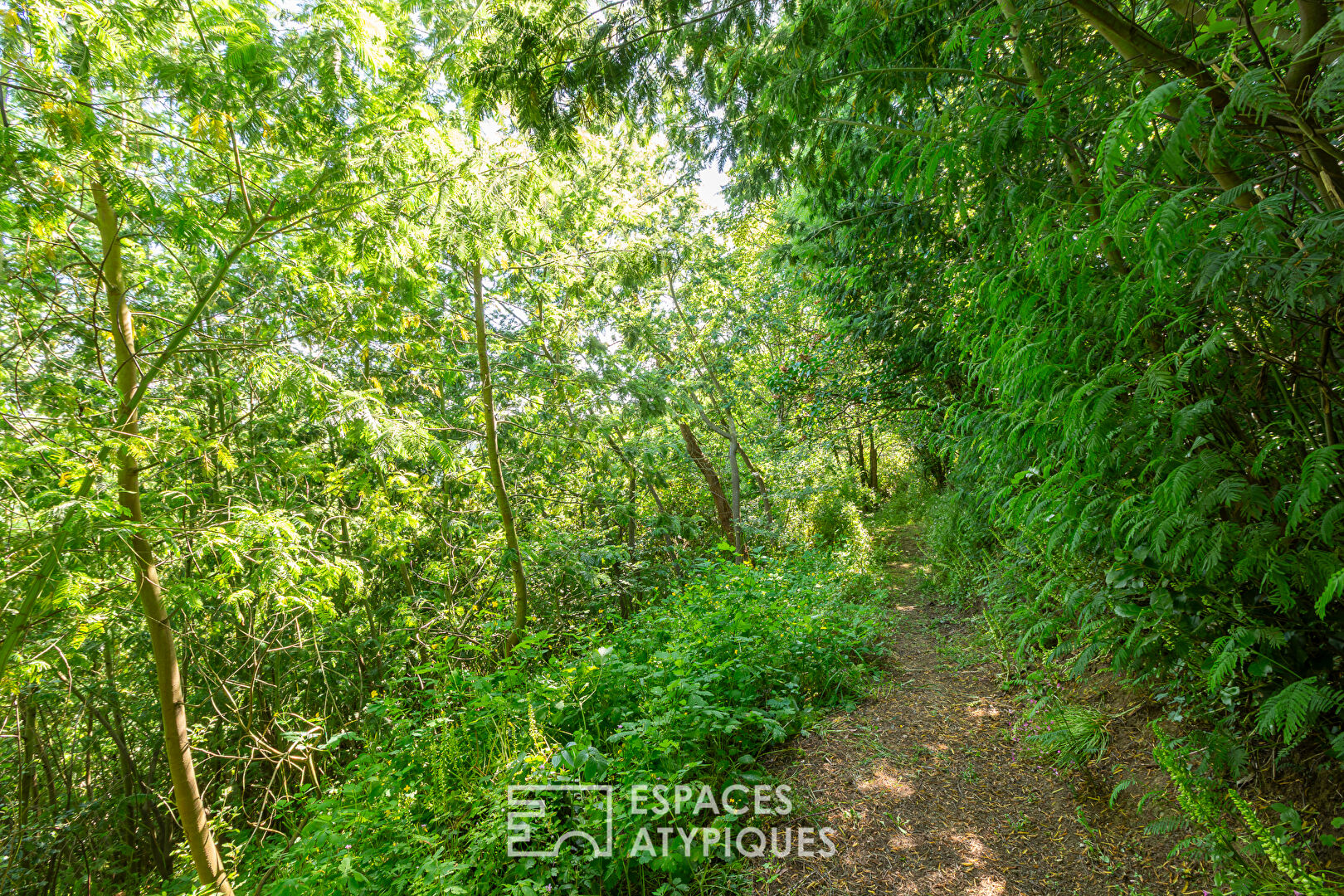 Maison avec son grand parc paysagé