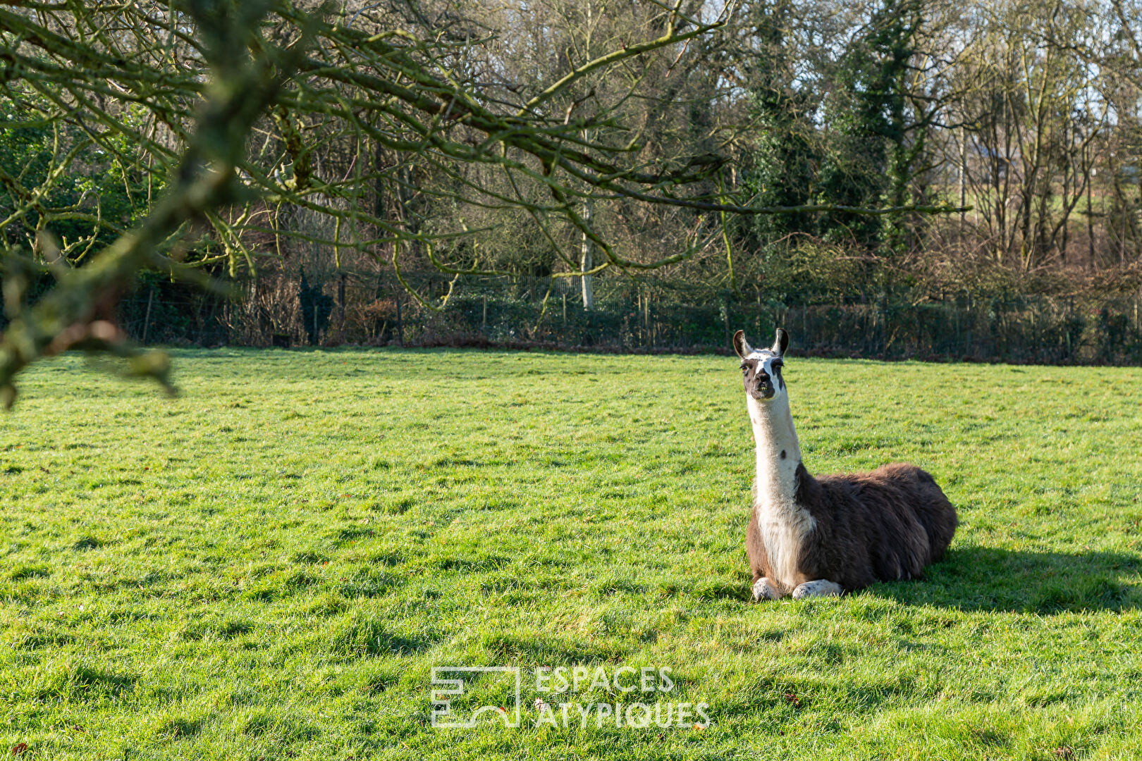 Grande maison entourée d&rsquo;un parc arboré de près de 3ha