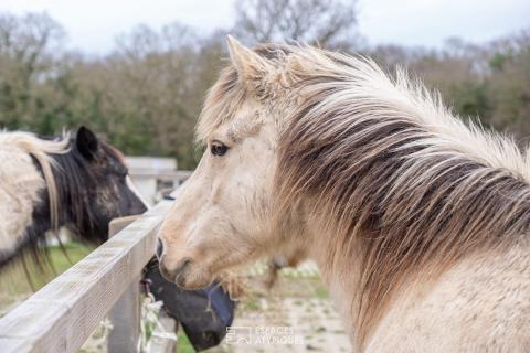 Vue et emplacement exceptionnel – Centre équestre