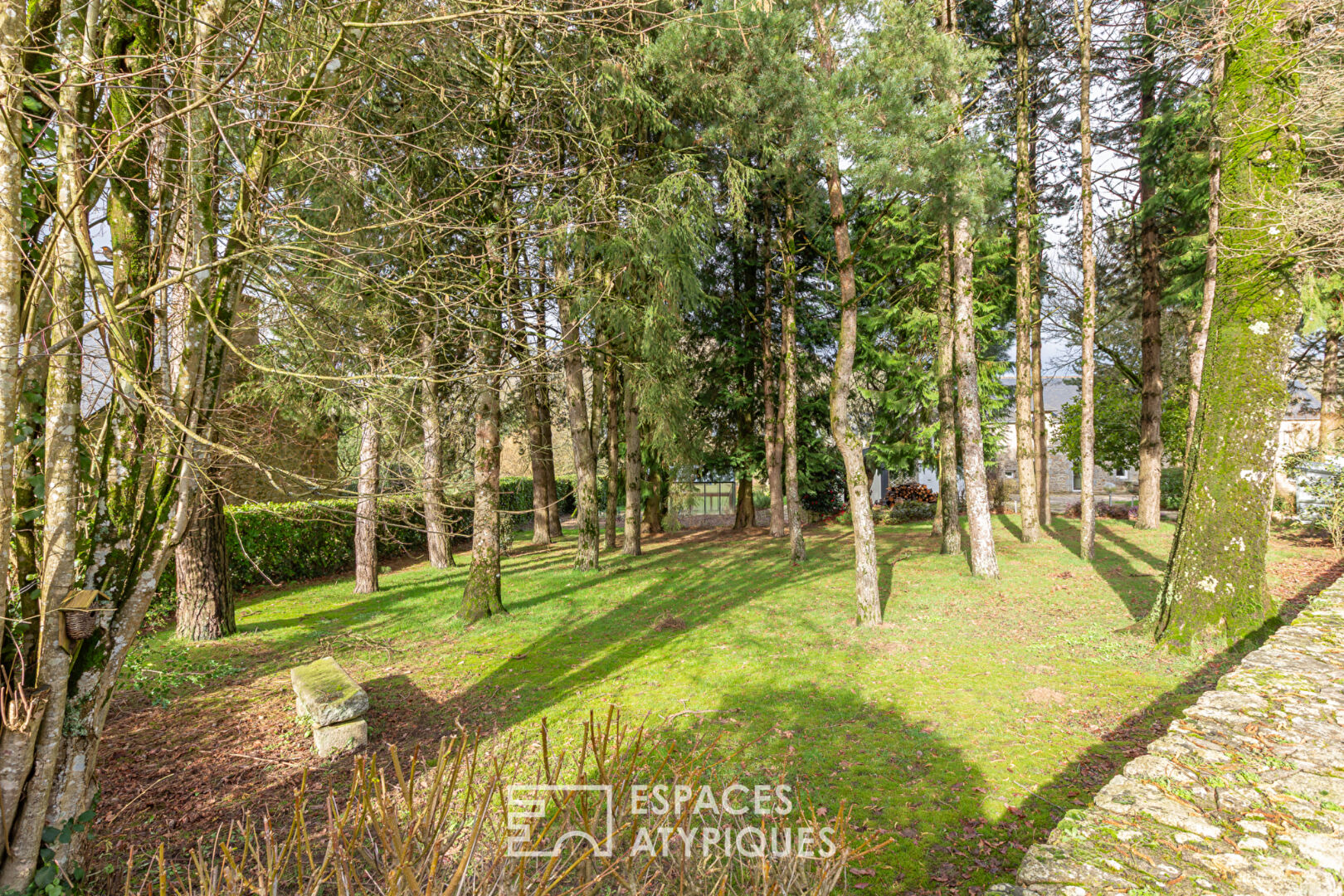 Belle maison en pierre rénovée et son atelier à la campagne.