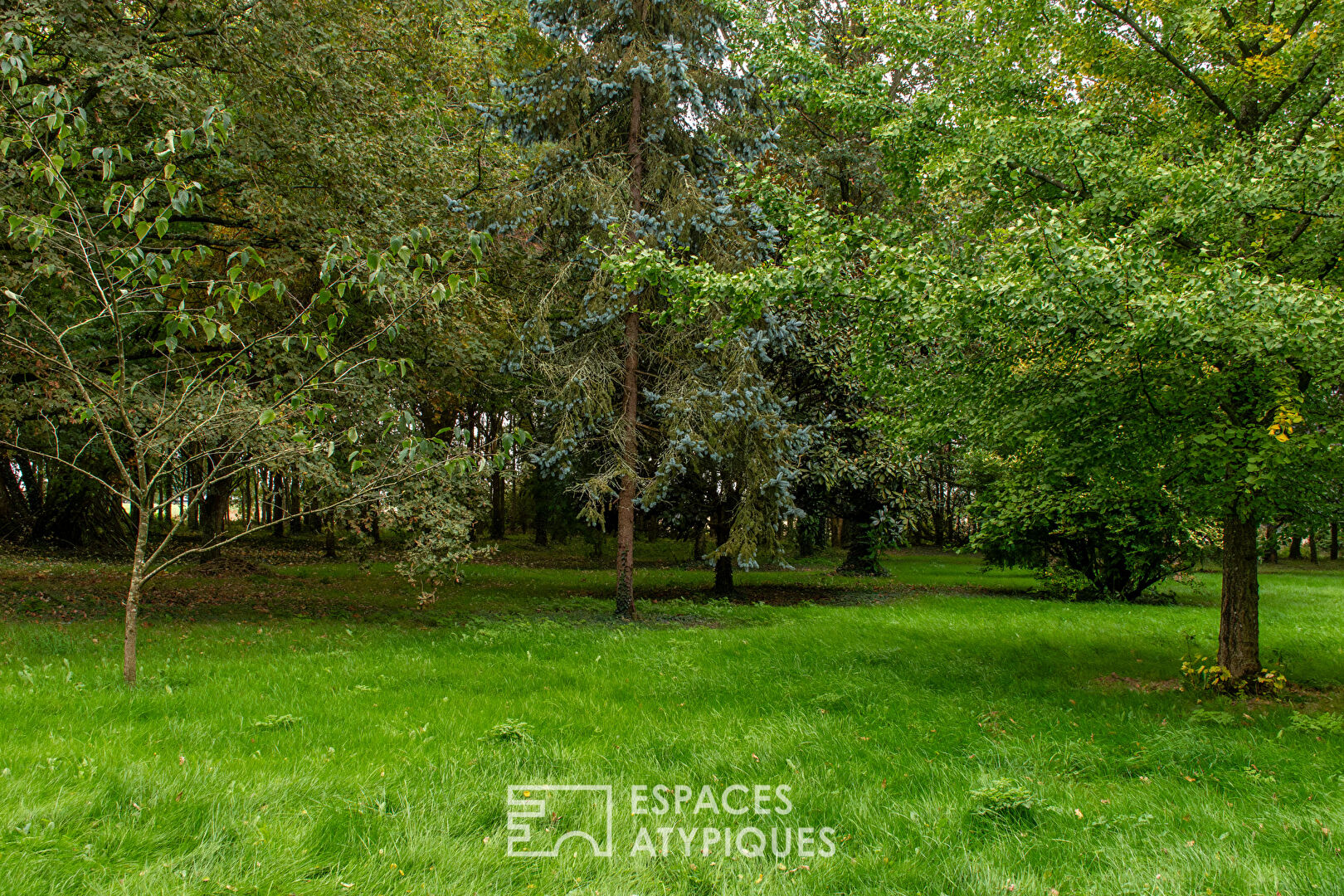 Prestigious residence in the heart of its forest park